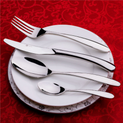 Thick Stainless Steel Matte Silver Cutlery Set