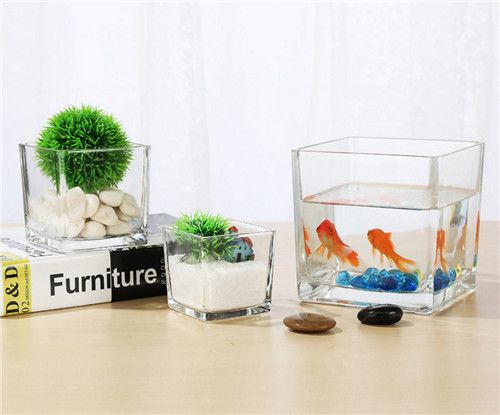 Wholesale Clear Cube Square Glass Vase For Sale