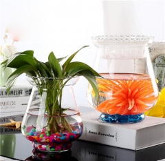 Clear Round Transparent Hydroponic Flower Glass Hyacinth Bud Vase for Home Decoration