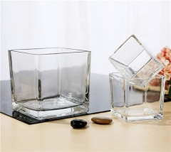 Wholesale Home Decoration Glass Cube Plant Flower Vases Square Clear Glass Vase