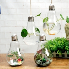 Home Decoration Hand-blown Hanging Mini Indoor Bulb Shaped Glass Plant Terrariums Vase