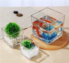 Wholesale Home Decoration Glass Cube Plant Flower Vases Square Clear Glass Vase