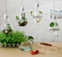 Home Decoration Hand-blown Hanging Mini Indoor Bulb Shaped Glass Plant Terrariums Vase