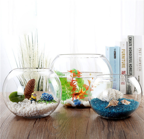 Ecological Turtle Cylinder Aquarium Glass Fish Tank Vase Air Plants Sand and Pebbles Small Glass Terrariums For Plants