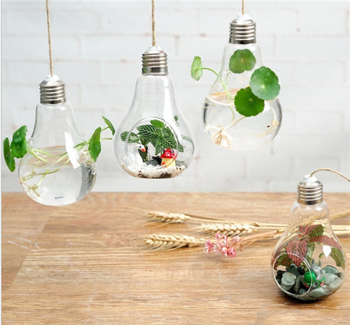 Home Decoration Hand-blown Hanging Mini Indoor Bulb Shaped Glass Plant Terrariums Vase