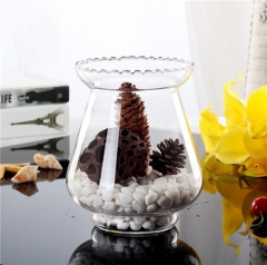 Clear Round Transparent Hydroponic Flower Glass Hyacinth Bud Vase for Home Decoration