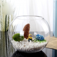Ecological Turtle Cylinder Aquarium Glass Fish Tank Vase Air Plants Sand and Pebbles Small Glass Terrariums For Plants