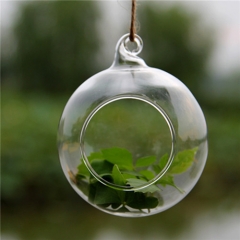 Terrarium Ball Globe Shape Clear Hanging Glass Vase Flower Plants Container Landscape DIY Wedding Home Decoration