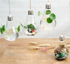 Home Decoration Hand-blown Hanging Mini Indoor Bulb Shaped Glass Plant Terrariums Vase