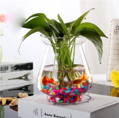 Clear Round Transparent Hydroponic Flower Glass Hyacinth Bud Vase for Home Decoration