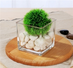 Wholesale Home Decoration Glass Cube Plant Flower Vases Square Clear Glass Vase