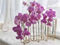 European Style Test Tube Glass Tabletop Metal Flower Vase For Living Room & Bathroom Decoration