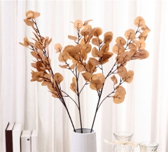 High quality Perfect garland Leaves Eucalyptus for weeding decoration