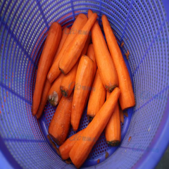 Commercial Red Carrot Peeling Peeler Mini Machine