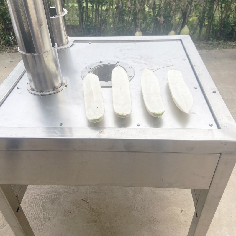 Stainless Steel Fruit Vegetable Slice Cutting Slicing Machine