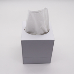 Wholesale 2 Ply Small Cube Box Facial Tissue