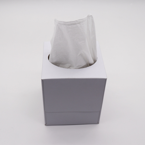Wholesale 2 Ply Small Cube Box Facial Tissue