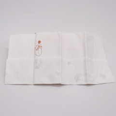 Wholesale Promotional Customized Advertising Logo Printing Pocket Tissue Pack