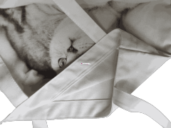 Girl's canvas bag design sense tote bag lady bag high-quality shopping bag pure natural non-toxic beautiful cat kitten pet cute