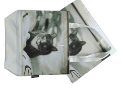 Shopping bag canvas bag design sense handbag lady bag high quality natural non-toxic beautiful cat kitten pet cute