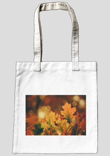 Tote bag, canvas bag, cotton shopping bag, book bag, maple leaf, charm of autumn, red leaves, green leaves, fallen leaves, meaning