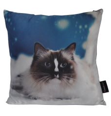 Pure cotton digital printing healthy non-toxic environmental protection pillowcase animal series cute animals cats, dogs and dogs can be customized according to drawings, patterns are durable and color-fast, precious souvenirs, housewares, high quality
