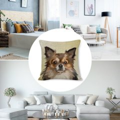 Double Sided Printed Dog Cushion Cover