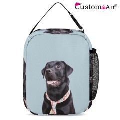 Portable Insulated Lunch Bag Large-capacity Insulated Bag for Office Workers and Students, High-looking Lunch Bag