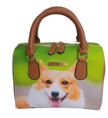 Supplier High Quality PU Leather Square Cylinder Shape Cute Pet Handbag for Women