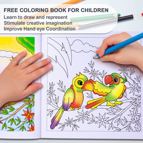 Giraffe coloring book for kids: Giraffe coloring book for 3-4-5-6