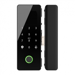 Finger Print Smart Door Lock