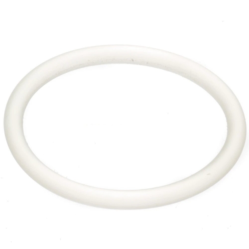 Filter O-Ring : 202545