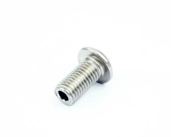 Check Tube Screw1"