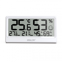Wall Thermometer