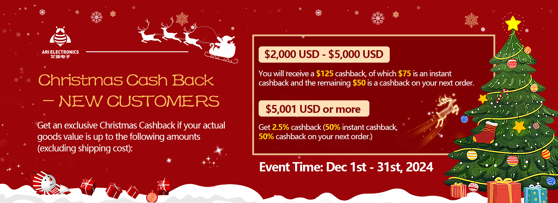 Christmas promo for new customer