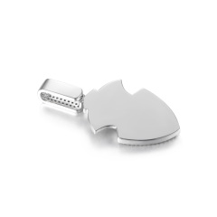 Cubic zirocinia pendant