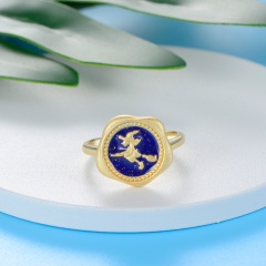 The wizard on the broom ring