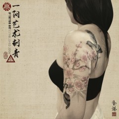 Chinese Swallow couple with Cherry Blossoms