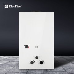 ElecFire 6~20L Gas Water Heater Household Bath Natural Liquefied Gas Strong Exhaust Thermostat Gas Flue JSD12-6B1