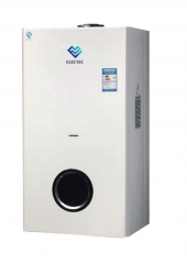 Gas boiler