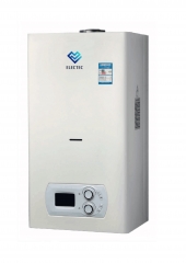 Gas boiler