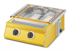 Gas BBQ Grill
