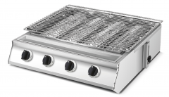 Gas BBQ Grill