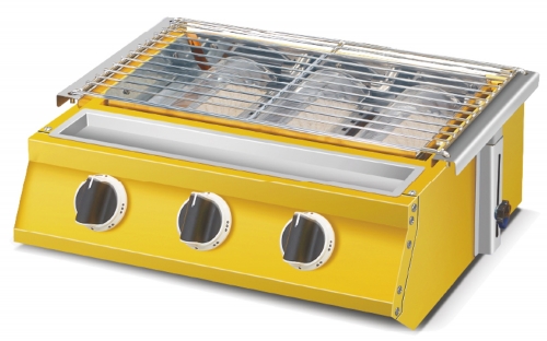 Gas BBQ Grill