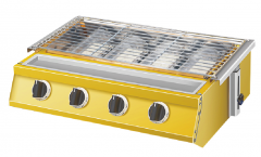 Gas BBQ Grill