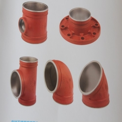 Fittings for Stainless Steel Clading Pipe