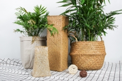 Biodebradable garden products