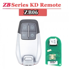 ZB06 REMOTE