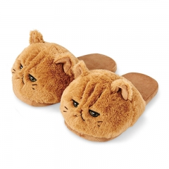 L079 curry cat half package slippers
