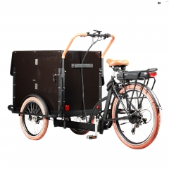 Electric Cargo bike for Coffee fruit